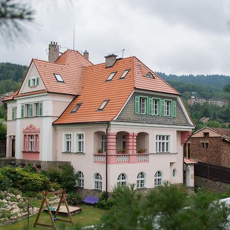 Hotel Penzion Signum Laudis Velké Hamry Exterior foto