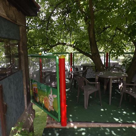 Hotel Penzion Signum Laudis Velké Hamry Exterior foto