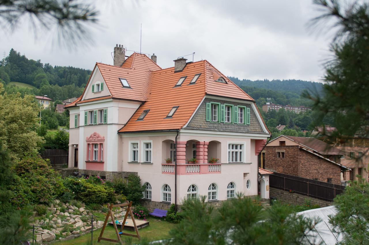 Hotel Penzion Signum Laudis Velké Hamry Exterior foto
