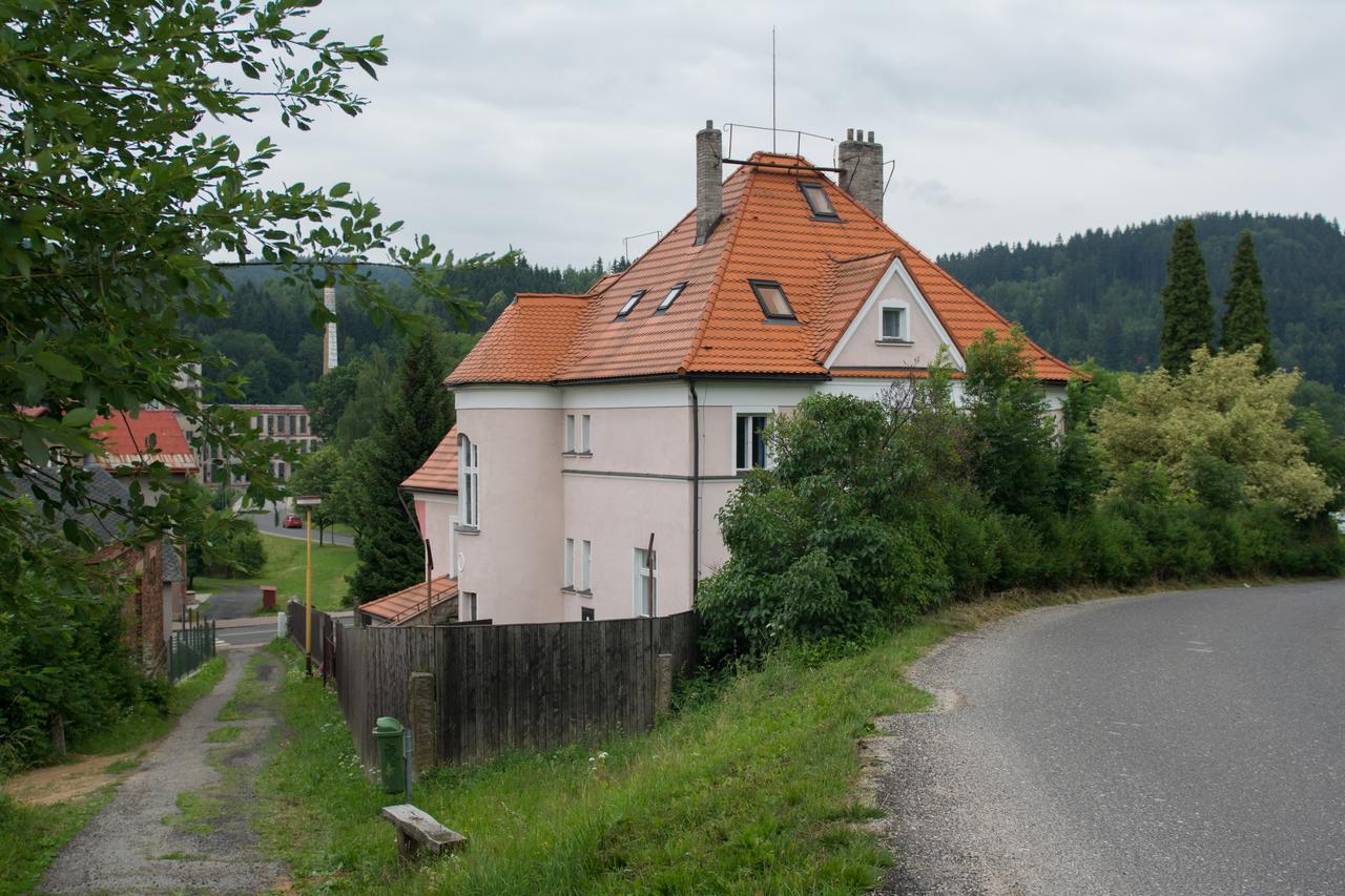 Hotel Penzion Signum Laudis Velké Hamry Exterior foto