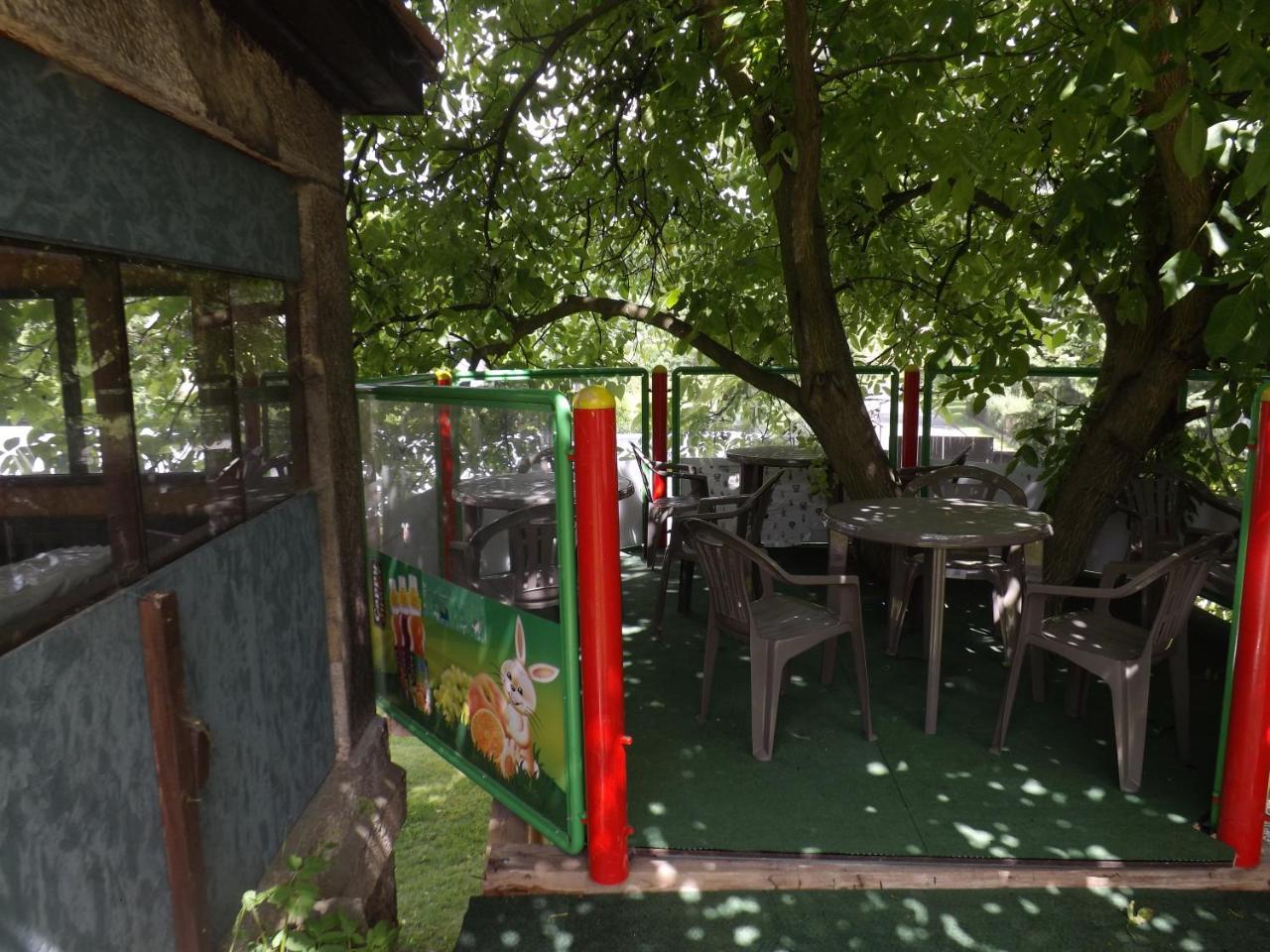 Hotel Penzion Signum Laudis Velké Hamry Exterior foto